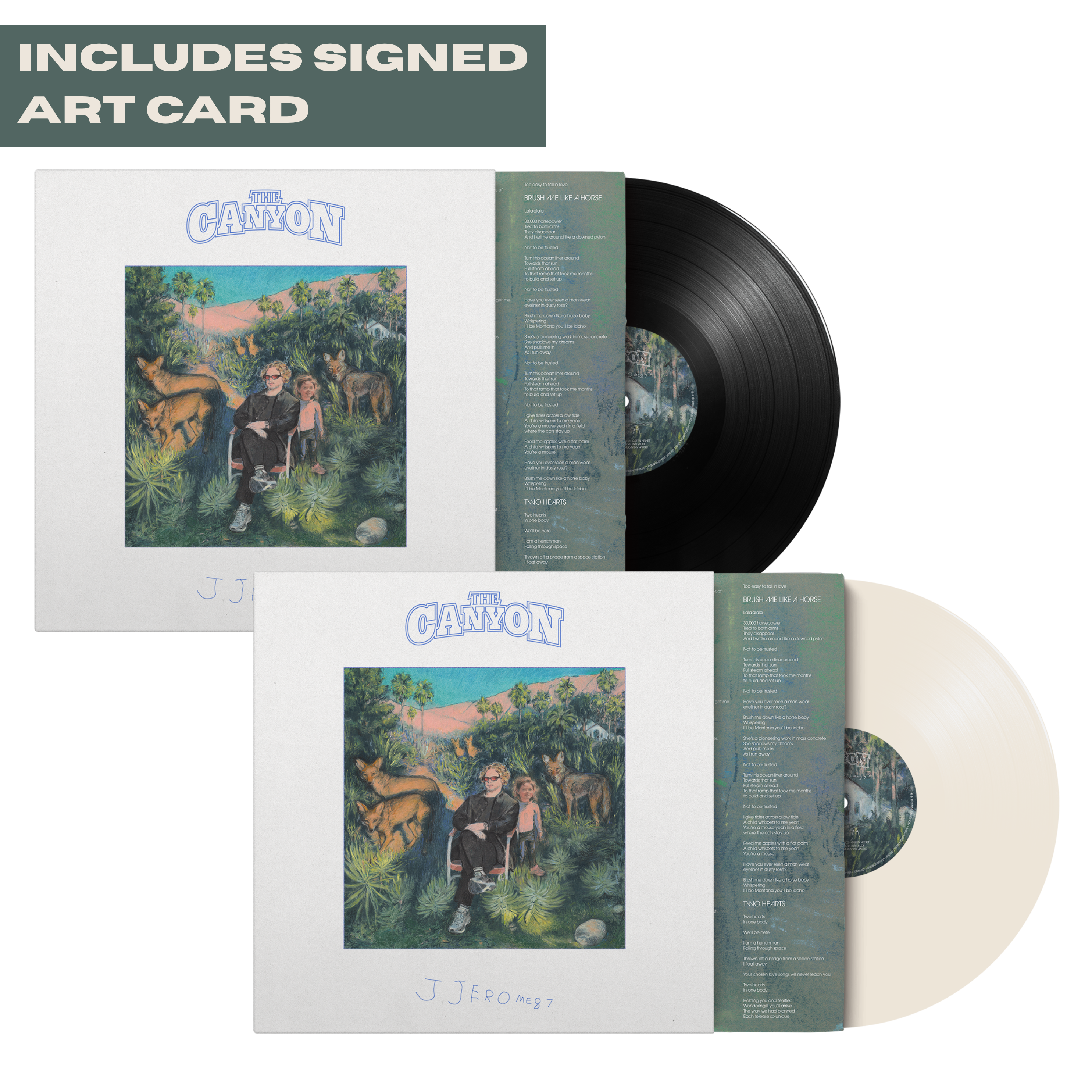 Vinyl Collector | Official JJerome87 Store